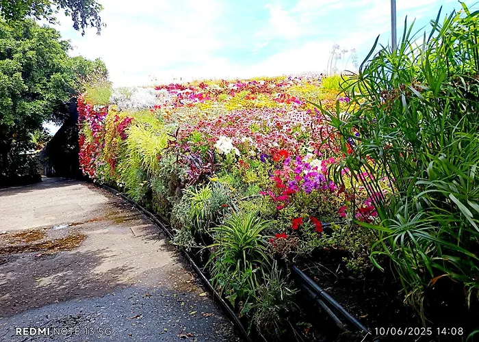 Konukevi Casapatrizia Compartido *