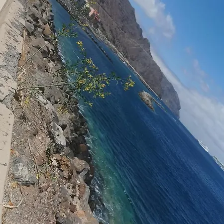 Casapatrizia Compartido Gæstehus Santa Cruz de Tenerife