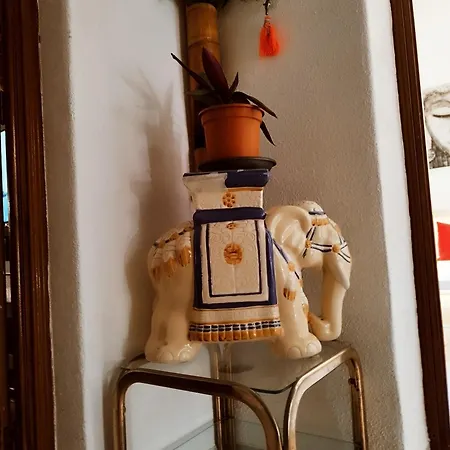 Casapatrizia Compartido 招待所 圣克鲁斯-德特内里费