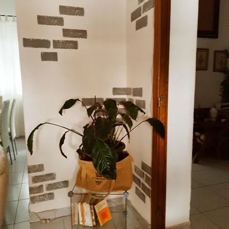 Casapatrizia Compartido * 圣克鲁斯-德特内里费