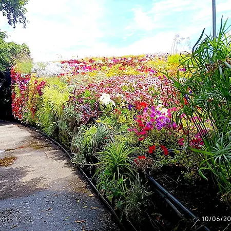 Pensión Casapatrizia Compartido *