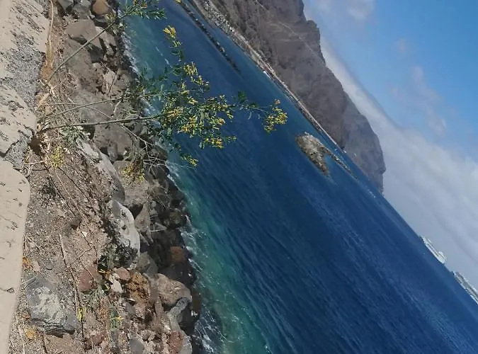 Casapatrizia Compartido 게스트하우스 산타크루스데 테네리페