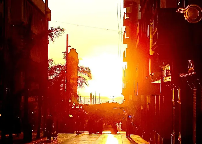 Casa de hóspedes Casapatrizia Compartido *