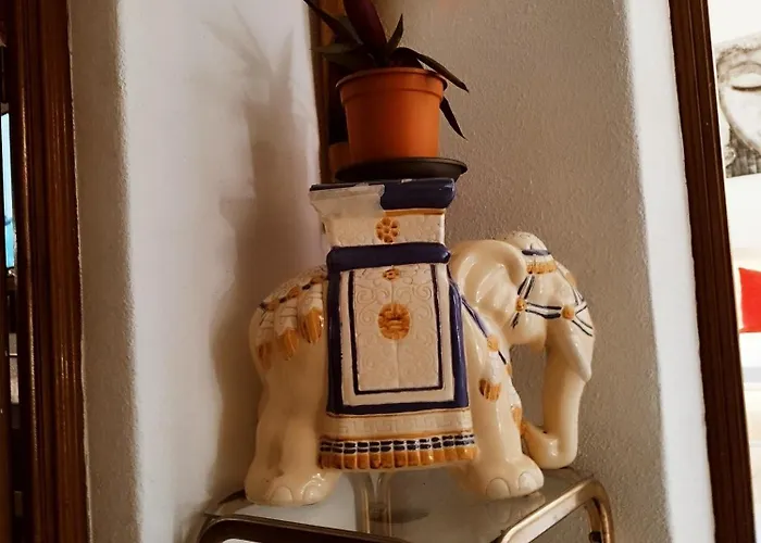 Casapatrizia Compartido 게스트하우스 산타크루스데 테네리페