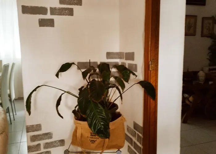 Casapatrizia Compartido * 산타크루스데 테네리페